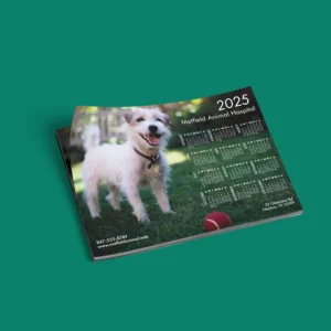 import placeholder for 1266