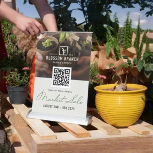 import placeholder for 1293